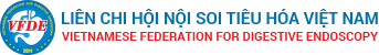 new-vfde-logo